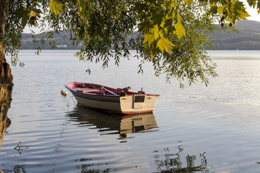 Similar image 13277022