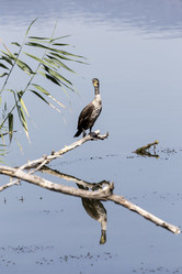 Similar image 13277063