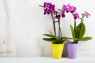 Similar image 13264625