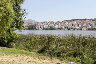 Similar image 13277079