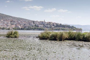 Similar image 13278999