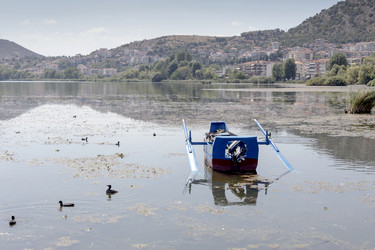 Similar image 13276952