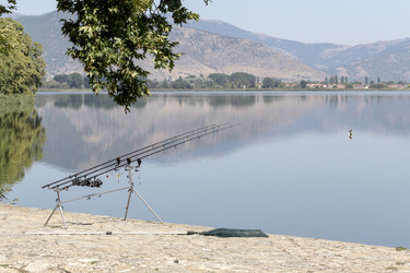 Similar image 13276953