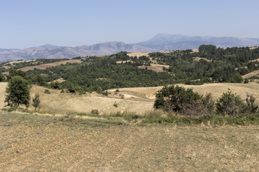 Similar image 13279051