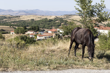 Similar image 13276971