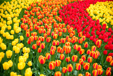 Similar image 13288310