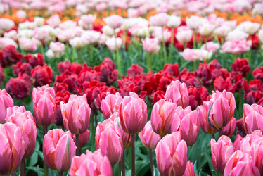 Similar image 13288361