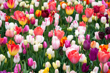 Similar image 13288471