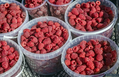 Similar image 13287931