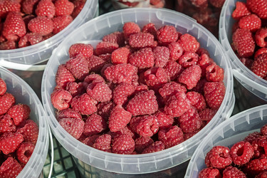 Similar image 13287932