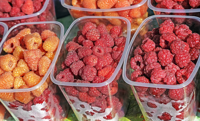 Similar image 13287933