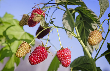 Similar image 13287934