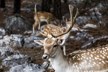 Similar image 13279008