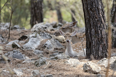 Similar image 13276955