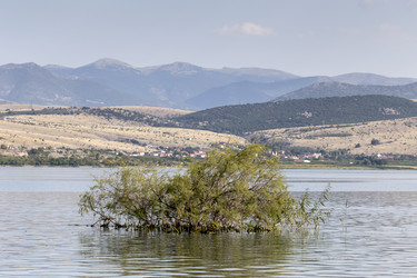 Similar image 13279053