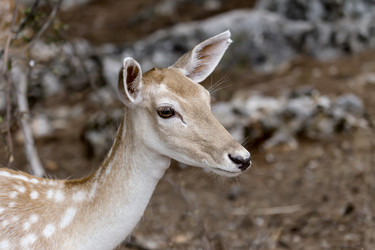 Similar image 13276976