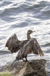 Similar image 13279056