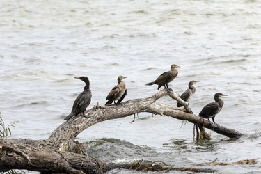 Similar image 13279058