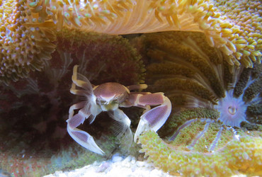 Similar image 13244353