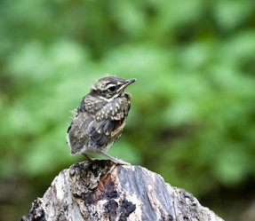 Similar image 13248441