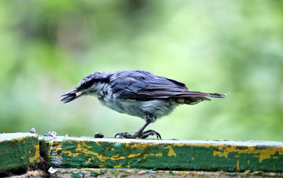 Similar image 13248461