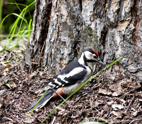 Similar image 13248462