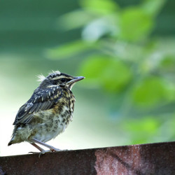 Similar image 13248500