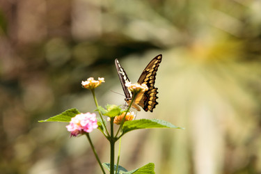 Similar image 13280785