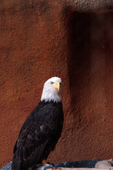 Similar image 13280798