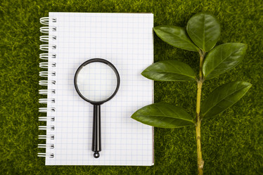 Similar image 13264575