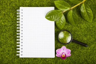 Similar image 13264576