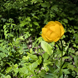 Similar image 13248502