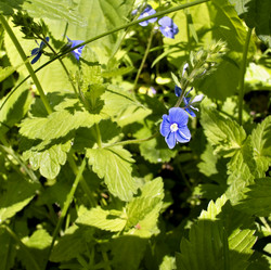 Similar image 13248724