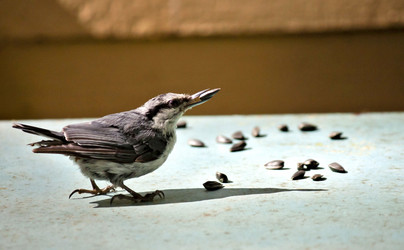 Similar image 13248951