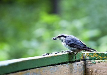 Similar image 13248968