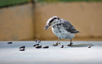 Similar image 13249037