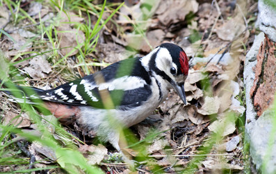 Similar image 13251476