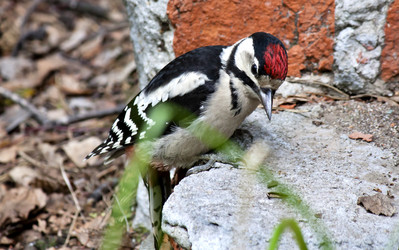 Similar image 13251477