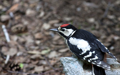 Similar image 13251478