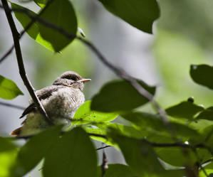 Similar image 13251481