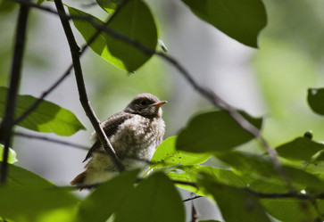 Similar image 13251482