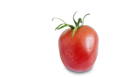 Similar image 13287946