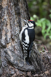 Similar image 13249041