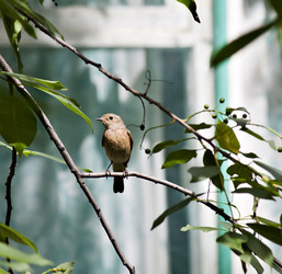 Similar image 13249117