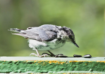 Similar image 13251496