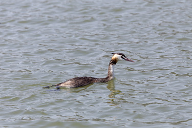 Similar image 13277013