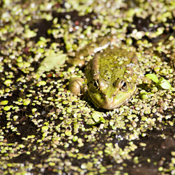 Similar image 13251499