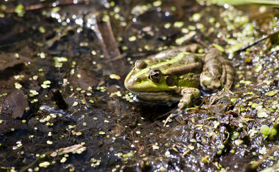 Similar image 13251501