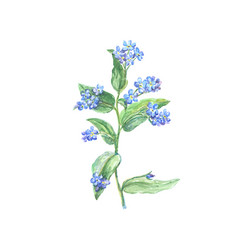 Similar image 13279695