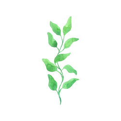 Similar image 13272688